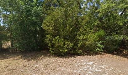 2672 S Willow Ter., Homosassa, FL 34448