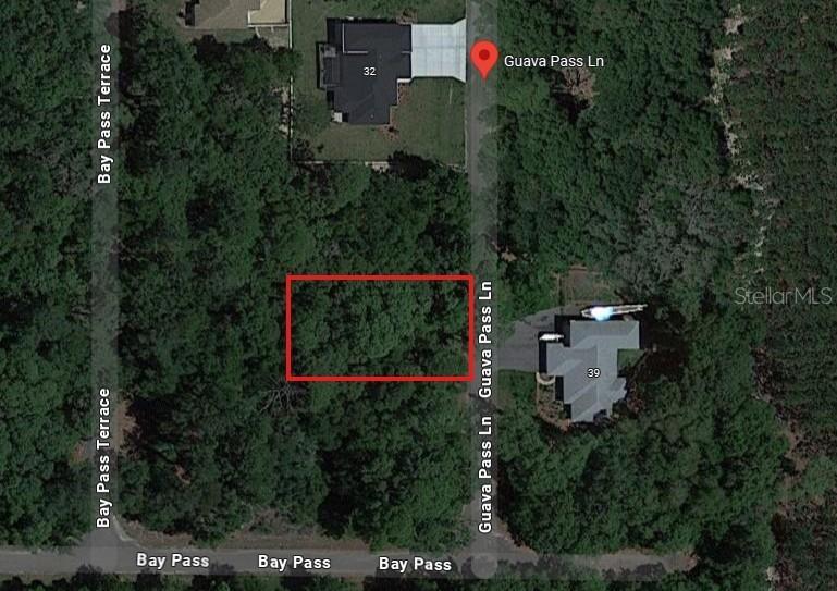 1484928 Guava Pass Ln., Ocklawaha, FL 32179