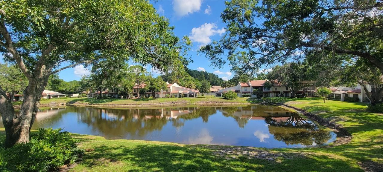3505 Tarpon Woods Blvd. #P408, Palm Harbor, FL 34685