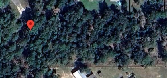 91st SE Court Rd., Summerfield, FL 34491