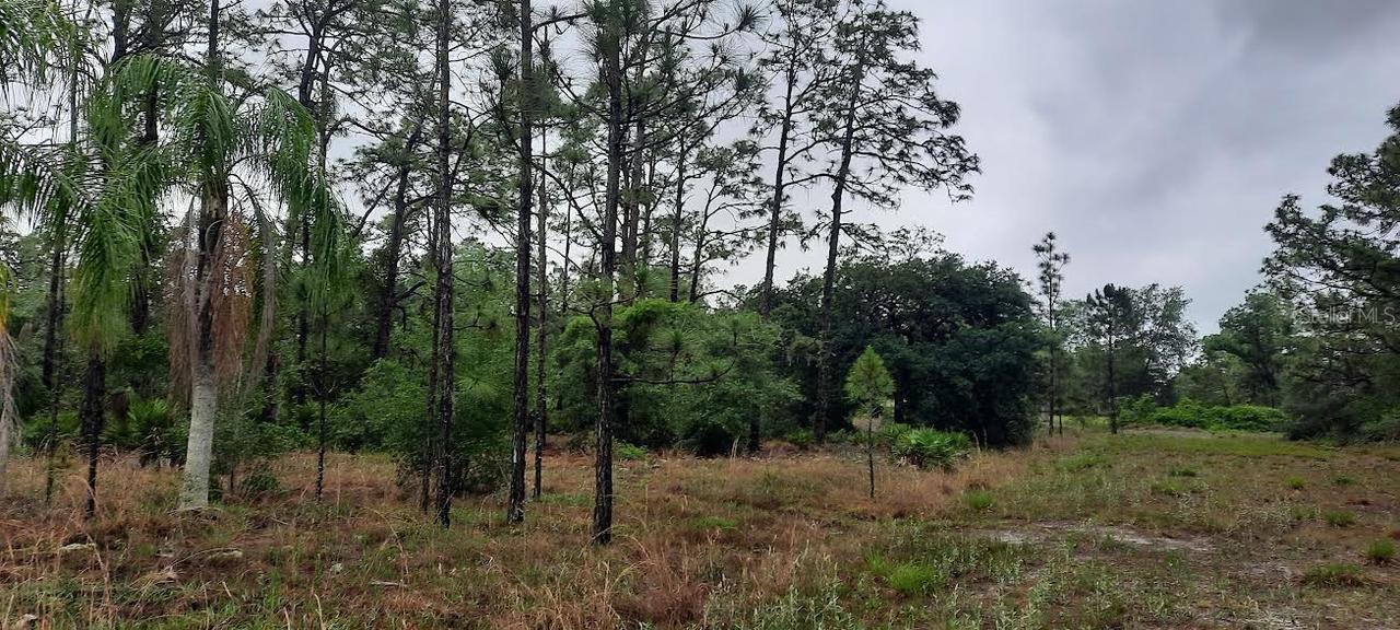 823 Pandora Dr., Indian Lake Estates, FL 33855