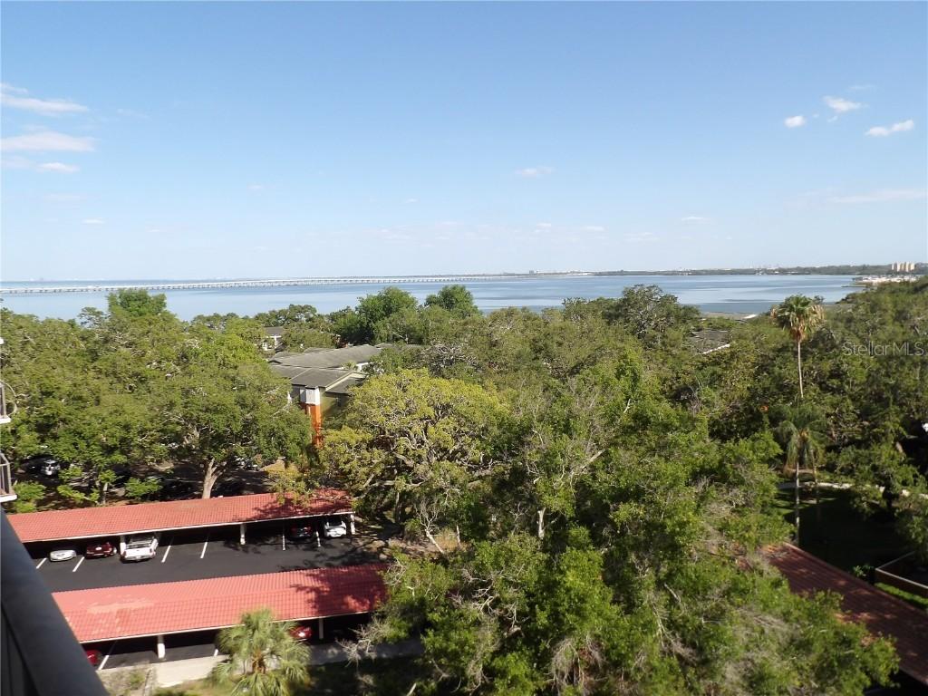 2699 Seville Blvd. #802, Clearwater, FL 33764