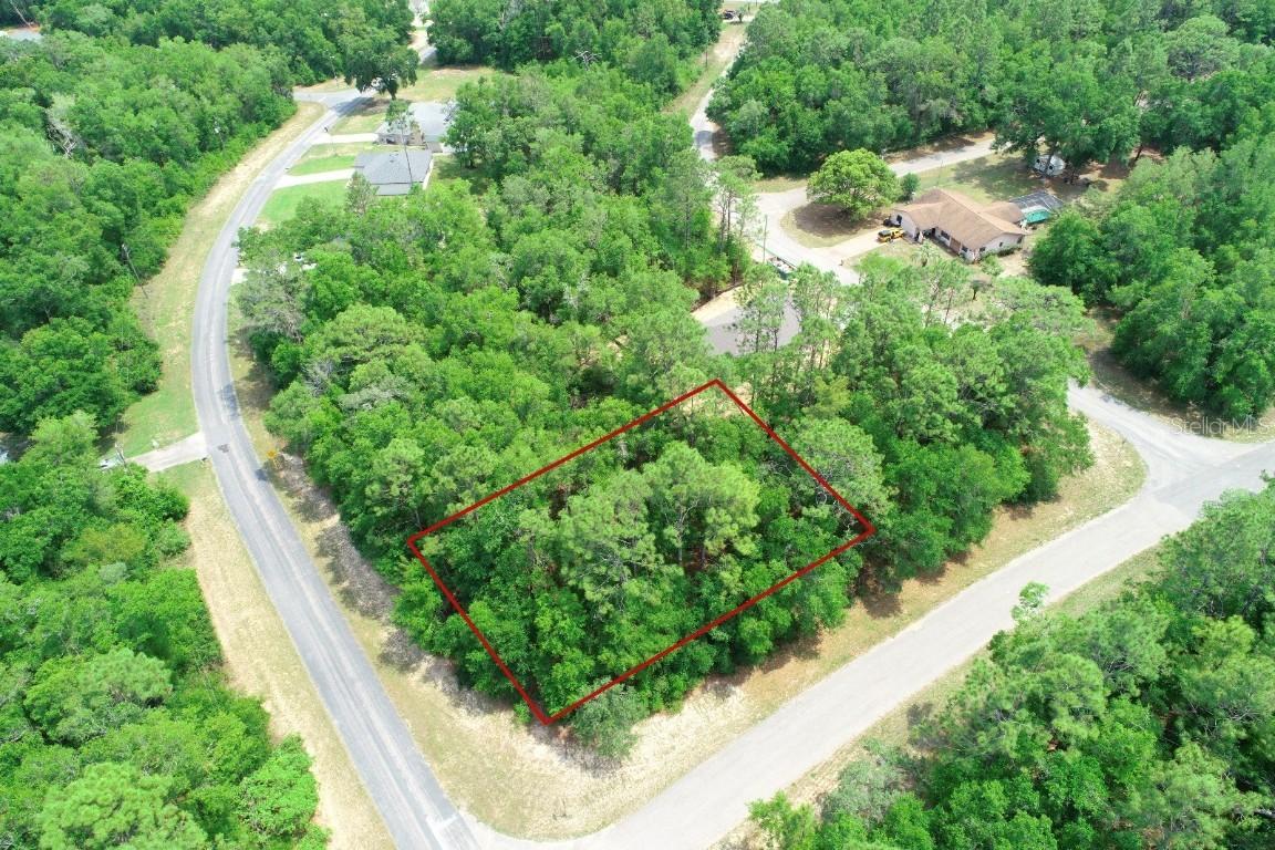 8674 N Upland Dr., Citrus Springs, FL 34434