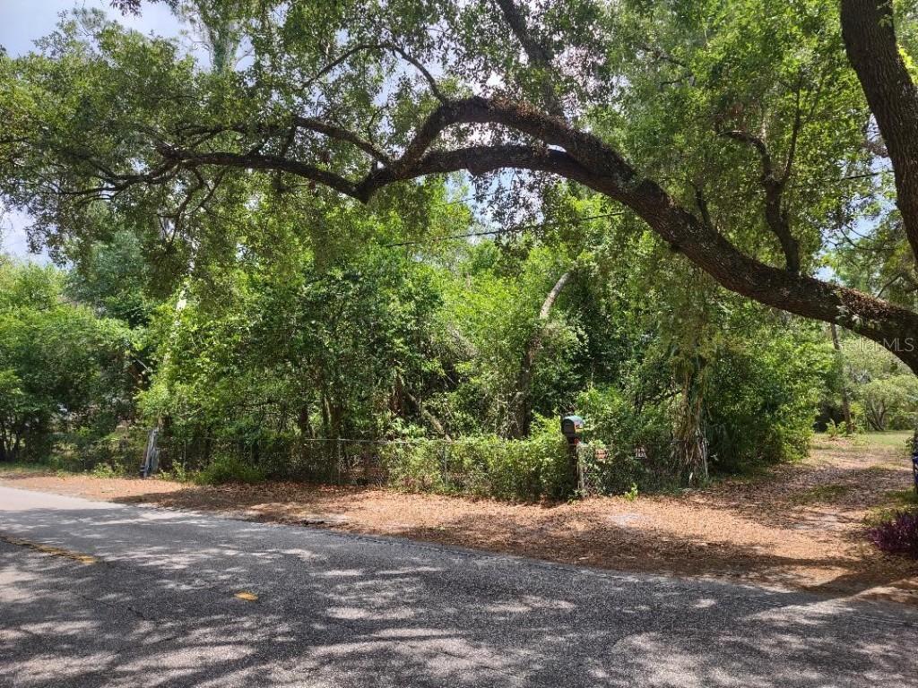1819 Sinclair Hills Rd., Lutz, FL 33549