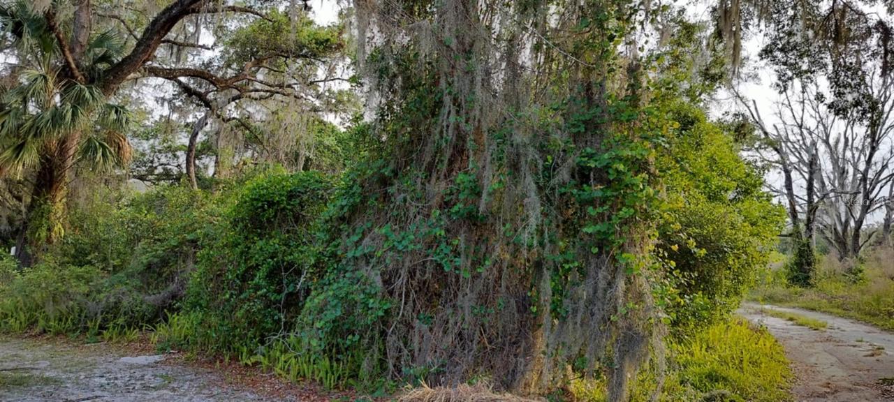 63 N Sheltering Oaks Dr., Inverness, FL 34453