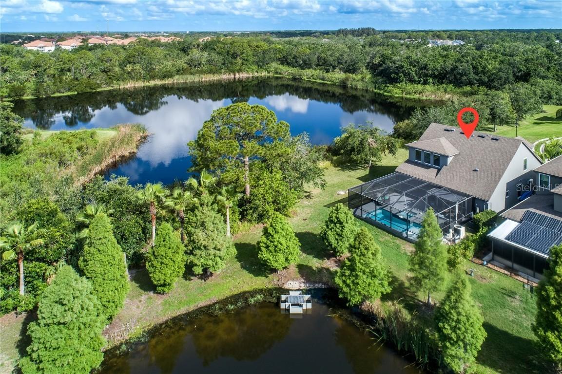 11320 Lazy Hickory Ln., Tampa, FL 33635