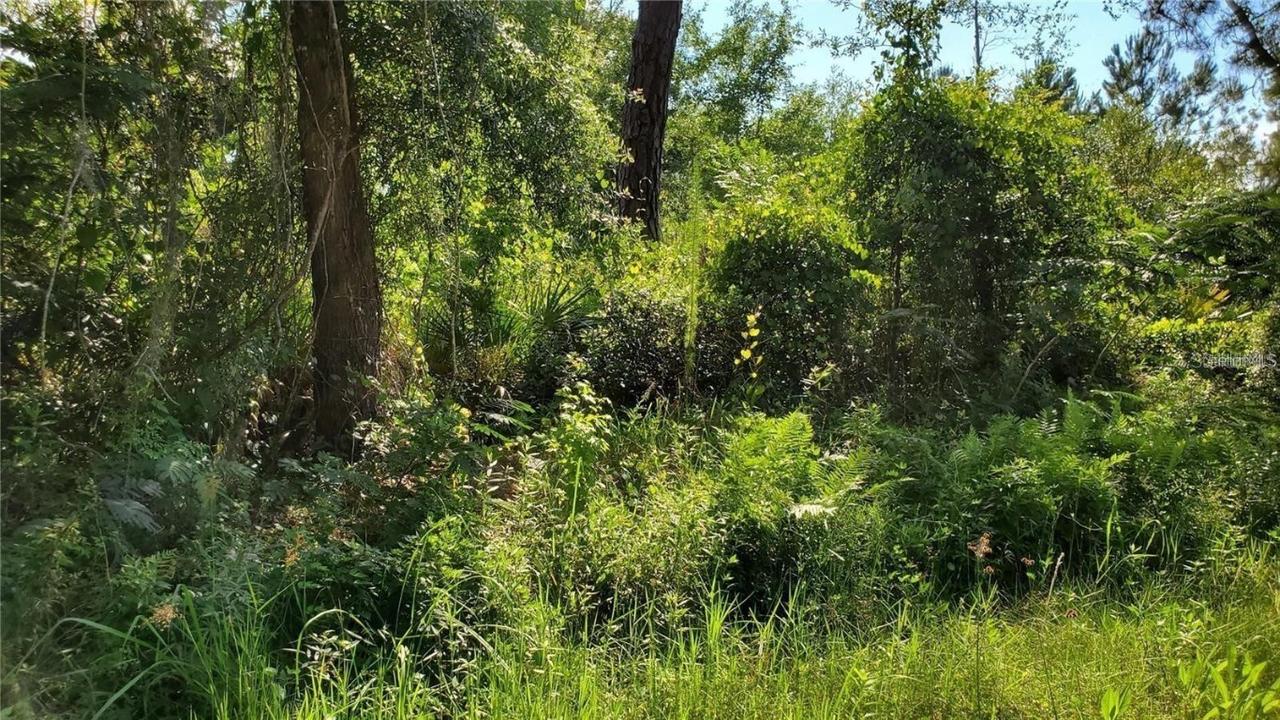 103 Bowfin Dr., Satsuma, FL 32189