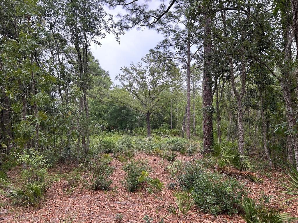 S Slash Pine Ave., Homosassa, FL 34446