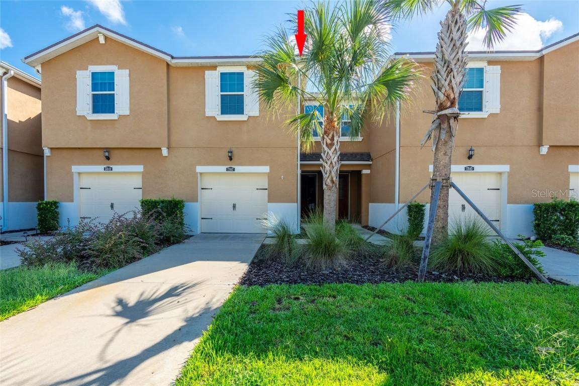 17847 Althea Blue Pl., Lutz, FL 33558