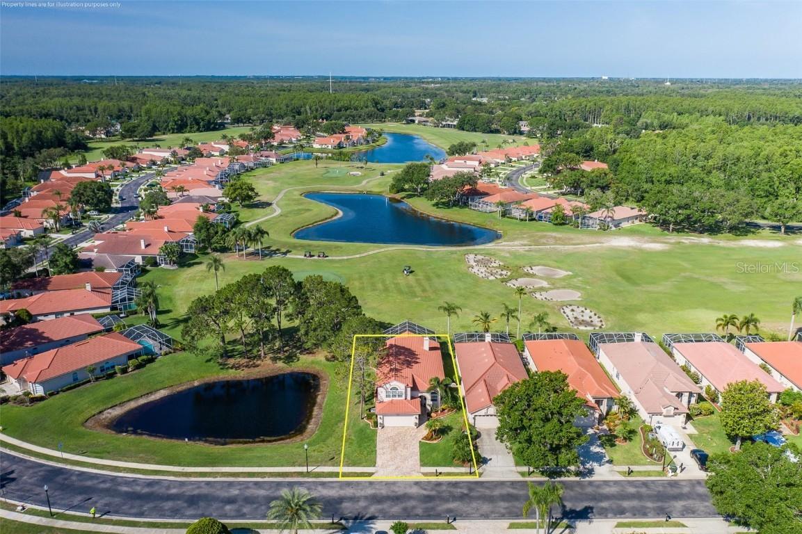 1228 Dartford Dr., Tarpon Springs, FL 34688