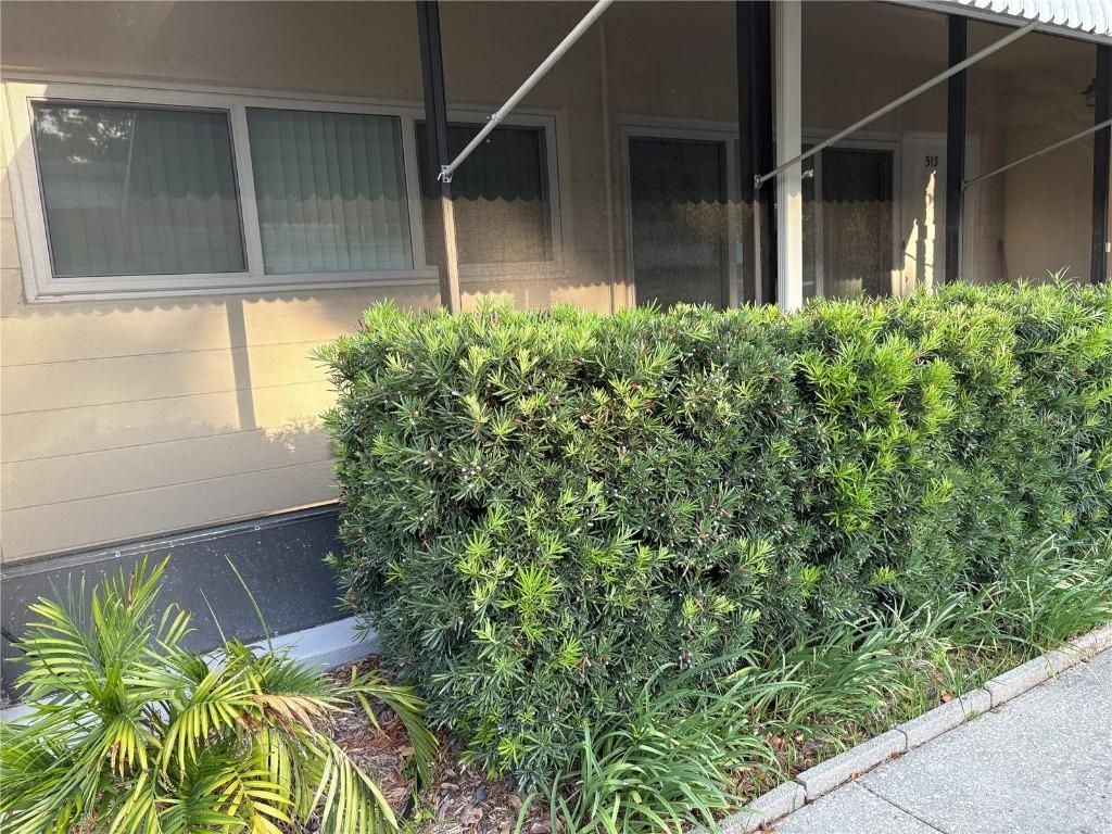 4152 56th Way #513, Kenneth City, FL 33709