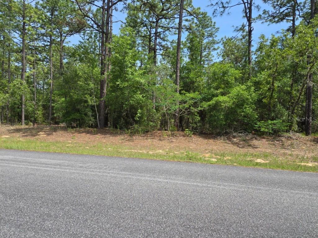 1795 W Thumper, Citrus Springs, FL 34434