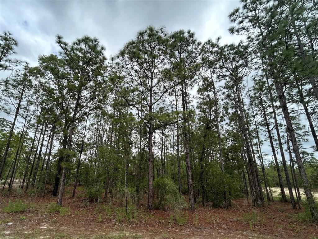 Mellon Rd., Weeki Wachee, FL 34614