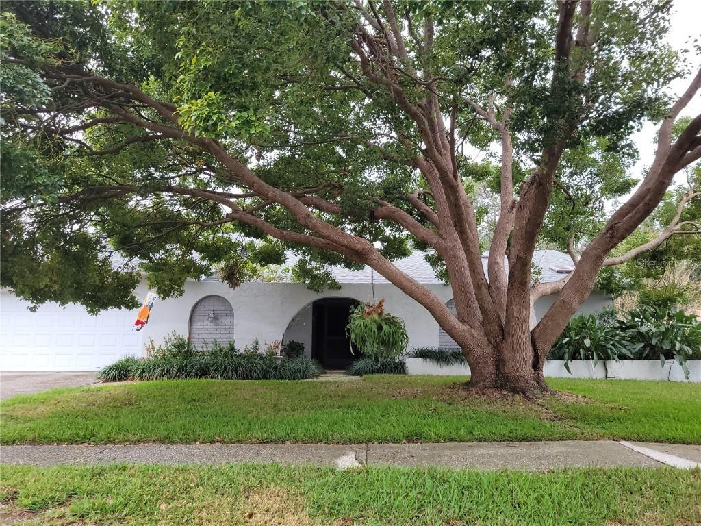 3200 Sandy Ridge Dr., Clearwater, FL 33761