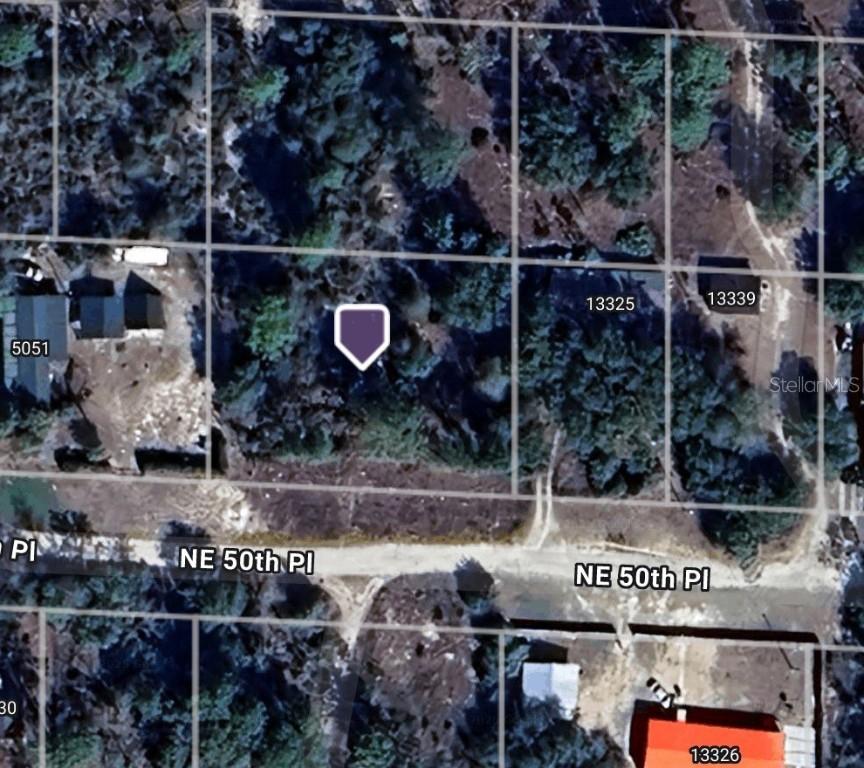 Ne 50th Place, Williston, FL 32696