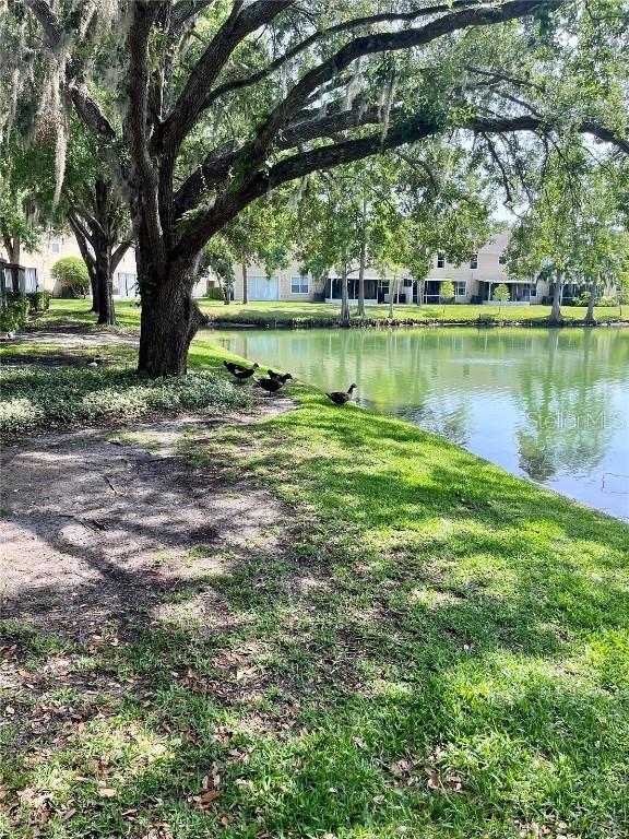 3615 Pine Knot Dr., Valrico, FL 33596