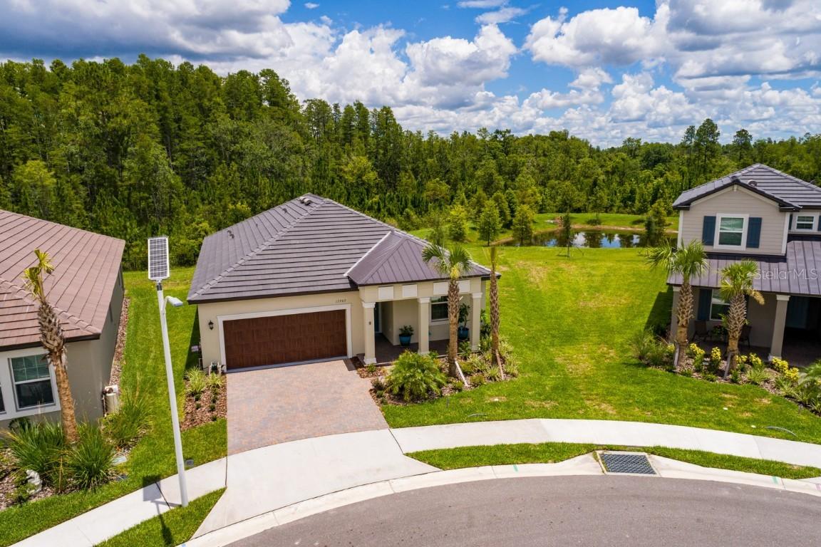 17263 Mango Shay Ct., Land O Lakes, FL 34638