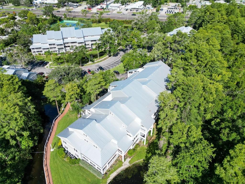 2533 Dolly Bay Dr. #203, Palm Harbor, FL 34684