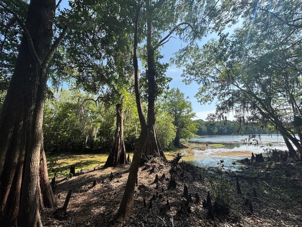 13517 E Shawnee Tr., Inverness, FL 34450