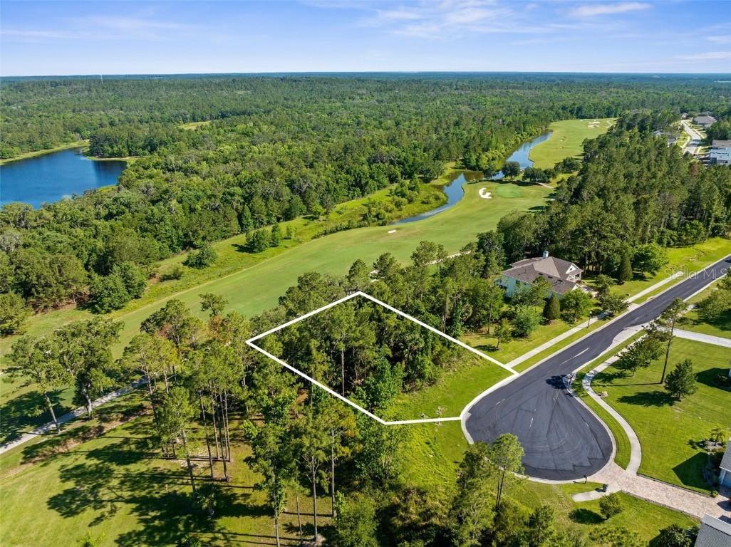 20118 English Walnut Pl., Brooksville, FL 34601