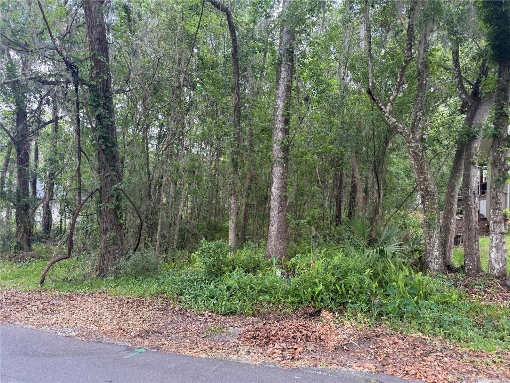 Rogers Ave., Brooksville, FL 34601