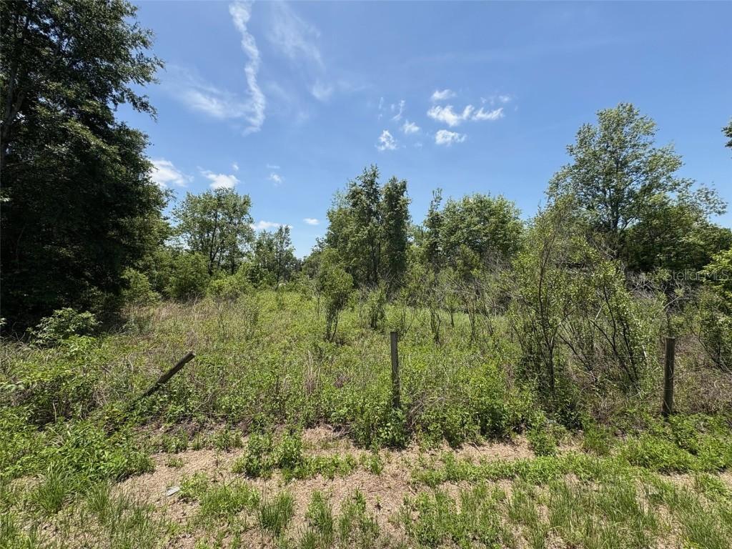 Blanton Rd., Dade City, FL 33523