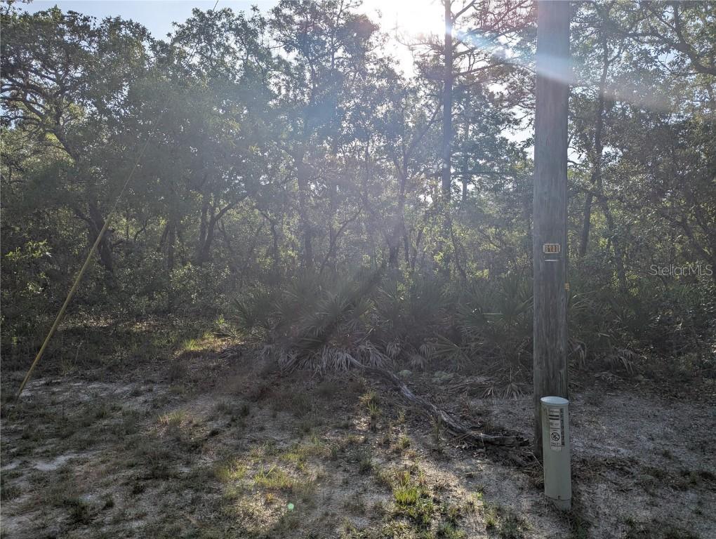 19036 Retriever Rd., Brooksville, FL 34614