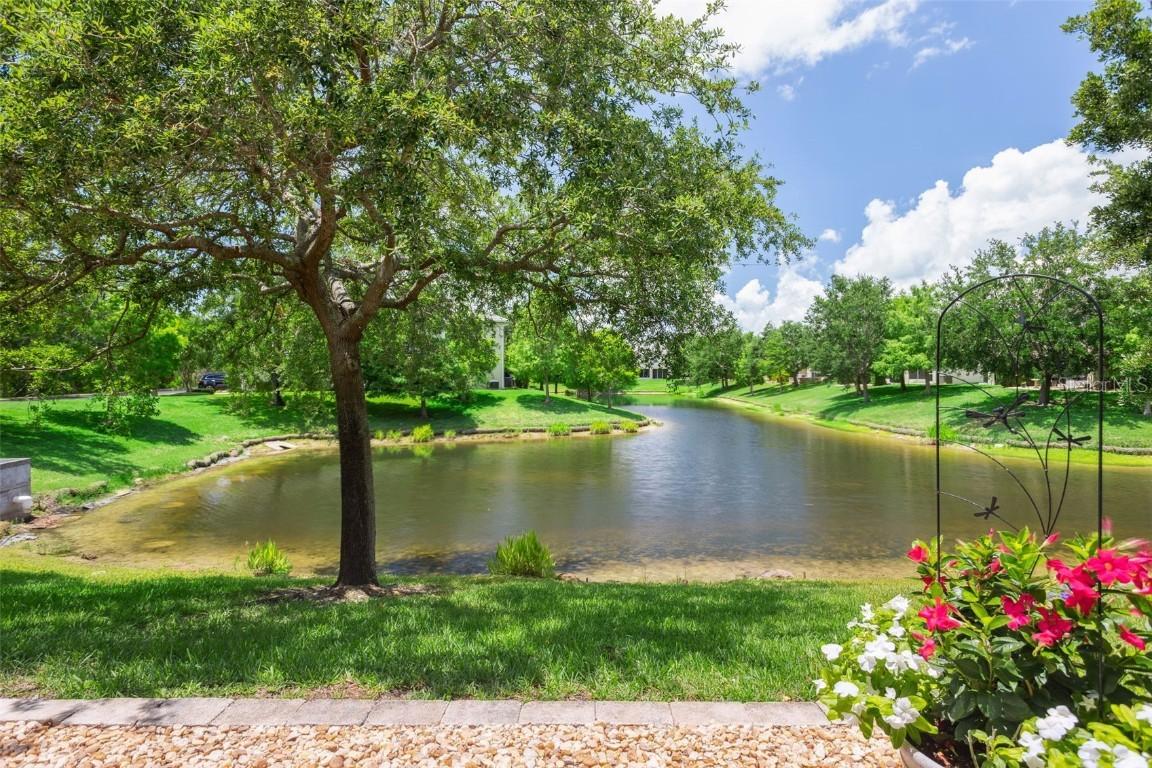 542 Harbor Ridge Dr., Palm Harbor, FL 34683