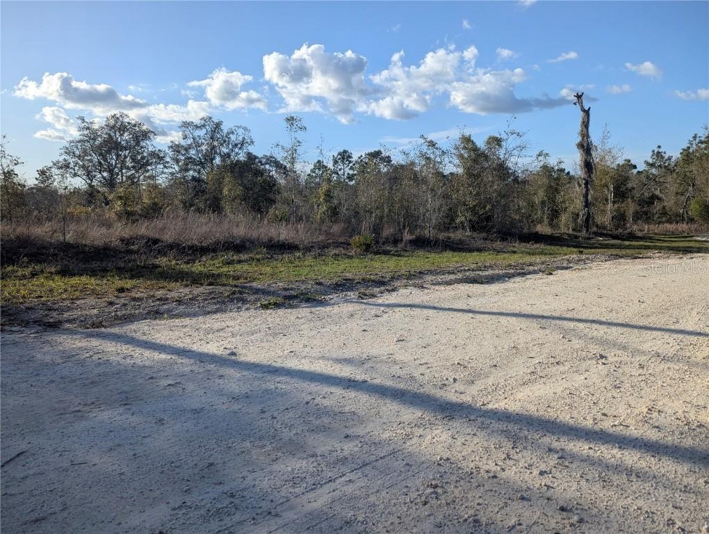 12298 NE 108th Ter., Archer, FL 32618