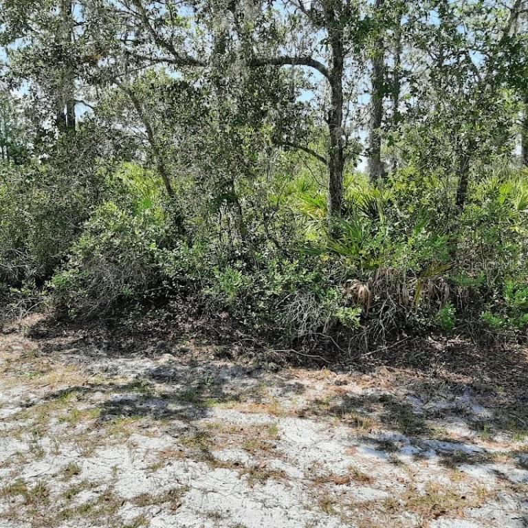 211 Camellia Dr., Indian Lake Estates, FL 33855