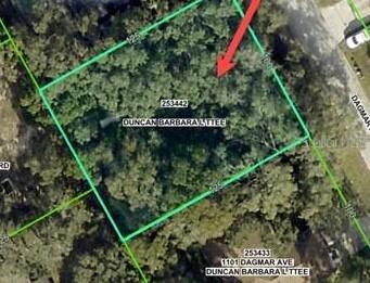 Dagmar Ave, Spring Hill, FL 34606