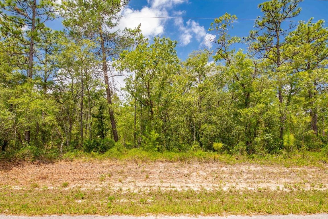 16240 Mount Sparrow Rd., Weeki Wachee, FL 34614