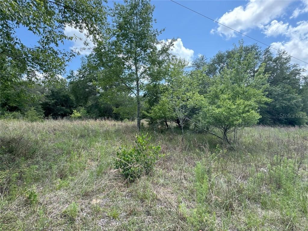 2211 Madison St., Inverness, FL 34453