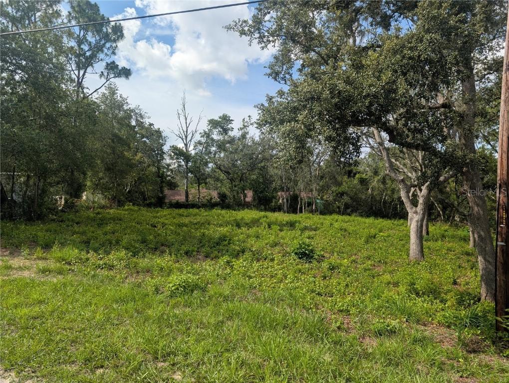 Merlin Cir., Dade City, FL 33523