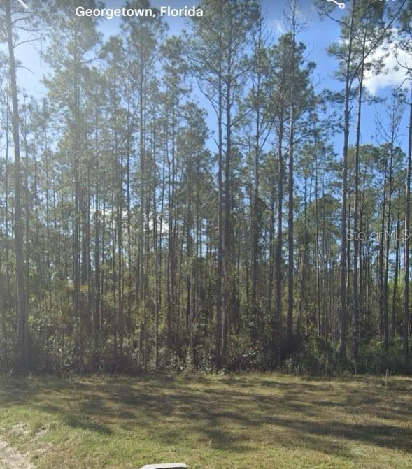 125 Pine Cone Dr., Georgetown, FL 32139