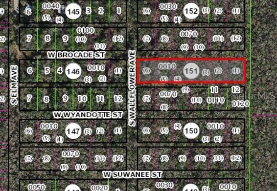 10006 W Brocade St., Homosassa, FL 34448