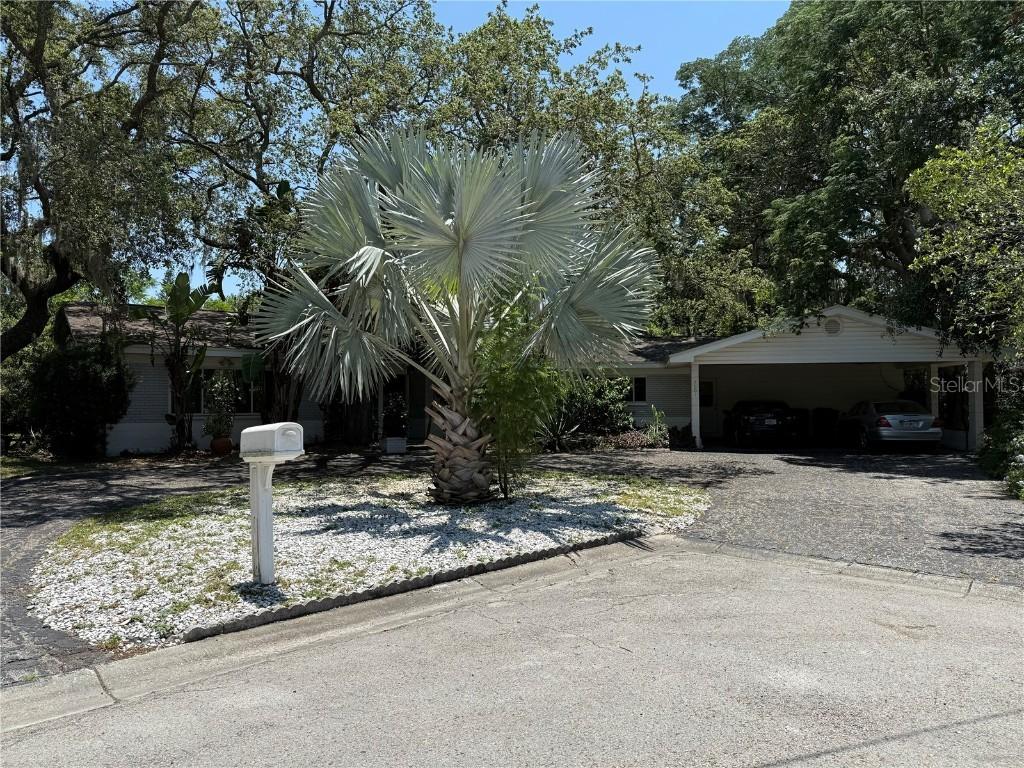 7601 Pine Hill Dr., Tampa, FL 33617