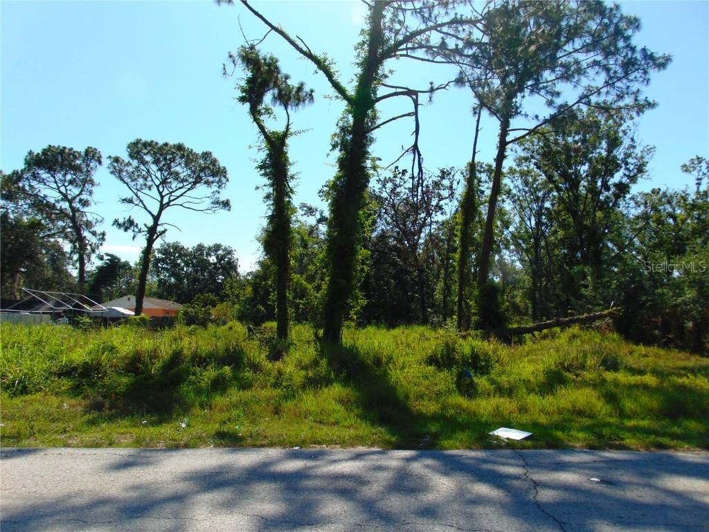 12217 Four Oaks Rd., Tampa, FL 33624