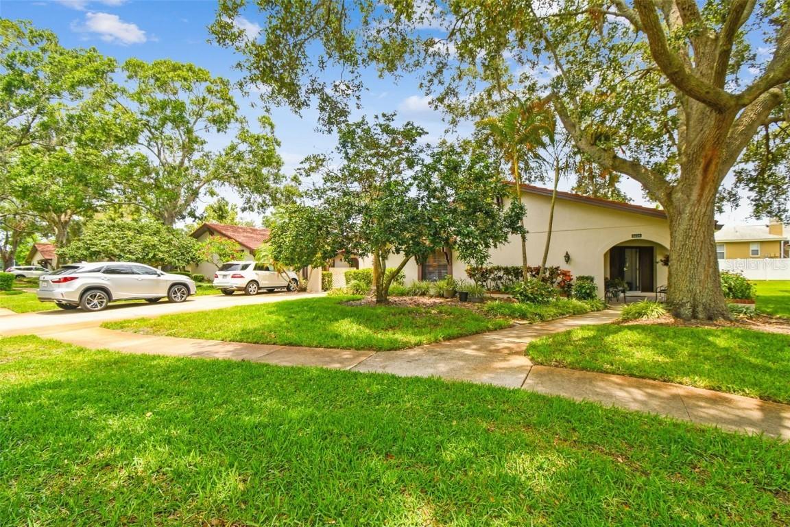 3476 Tarpon Woods Blvd., Palm Harbor, FL 34685
