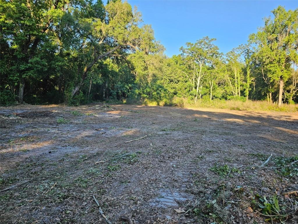 359 Savannah Oaks Dr., Brooksville, FL 34602