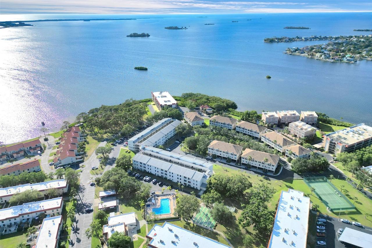 2700 Bayshore Blvd. #11308, Dunedin, FL 34698