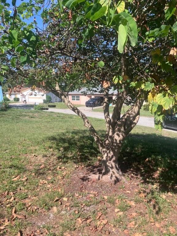 12801 Winding Way, Hudson, FL 34667