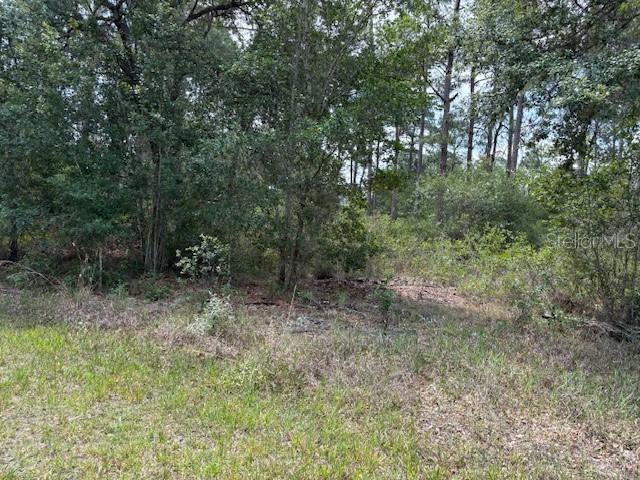 213 Plumosa Dr., Indian Lake Estates, FL 33855