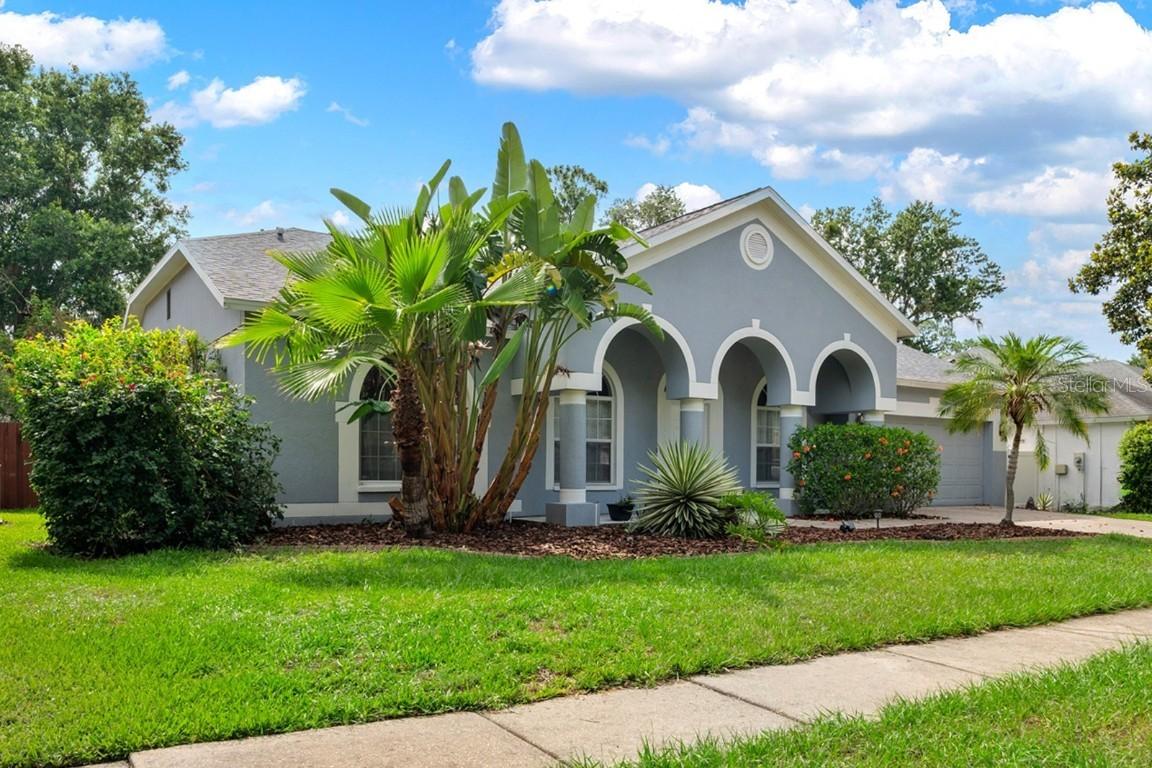 3703 Treeline Dr., Valrico, FL 33596