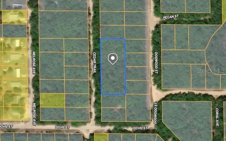 Cedar Tr., Interlachen, FL 32148