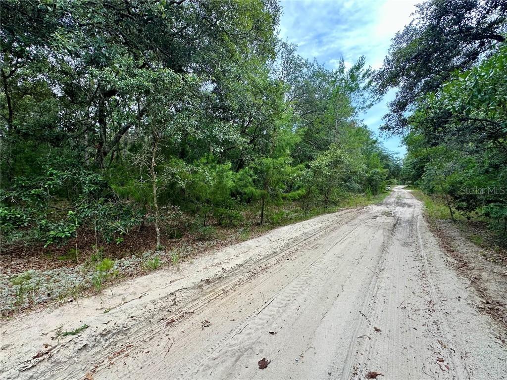 Cedar Tr., Interlachen, FL 32148