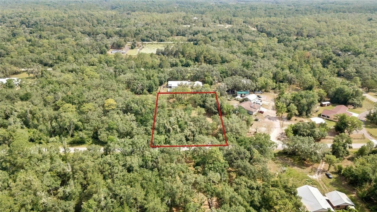 34001 Long Cir., Webster, FL 33597