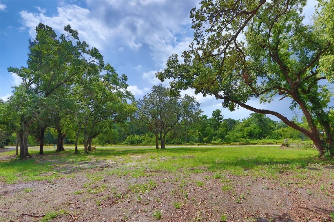 1704 W Perio St., Tampa, FL 33612
