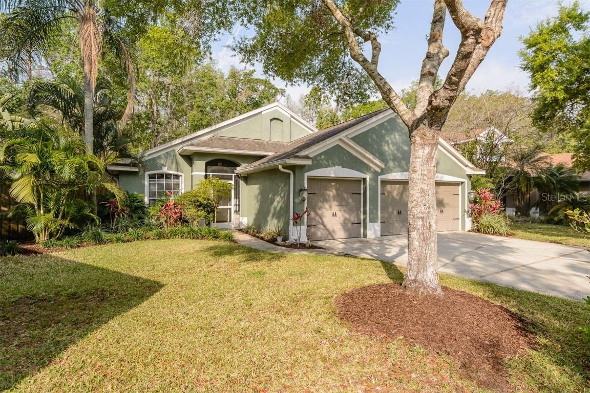 5619 Essex Ct., Palm Harbor, FL 34685