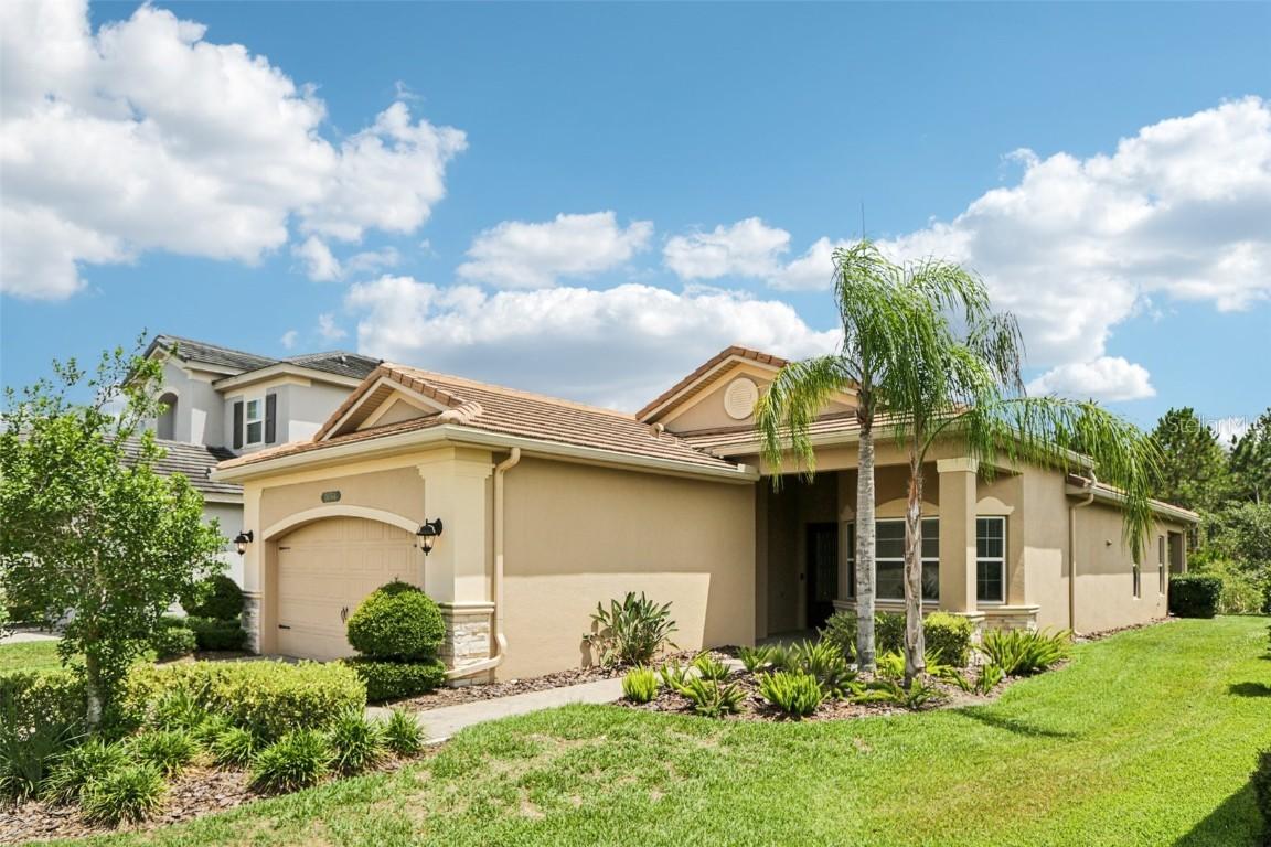 30764 Lindentree Dr., Wesley Chapel, FL 33543